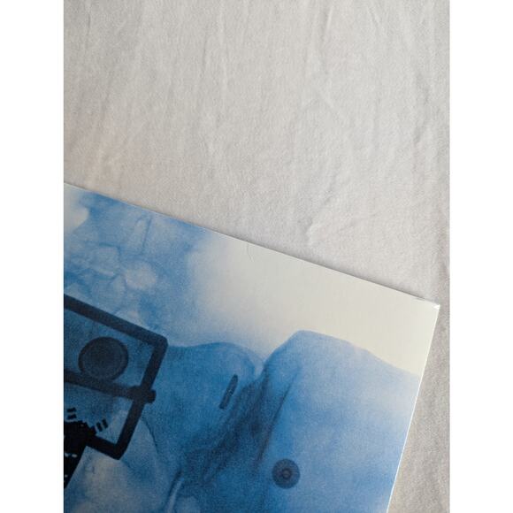 Lorde Signed Vinyl Virgin LP Autographed X-Ray Picture Disc - Picture 5 of 16